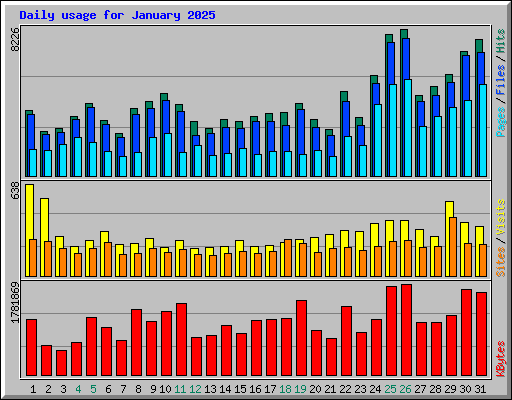 Daily usage for January 2025