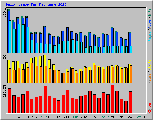 Daily usage for February 2025