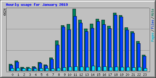 Hourly usage for January 2019