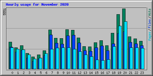Hourly usage for November 2020