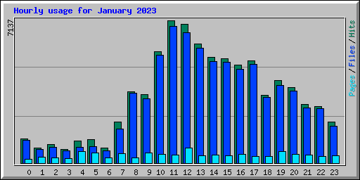 Hourly usage for January 2023