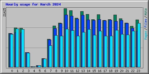 Hourly usage for March 2024