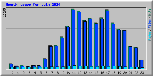 Hourly usage for July 2024