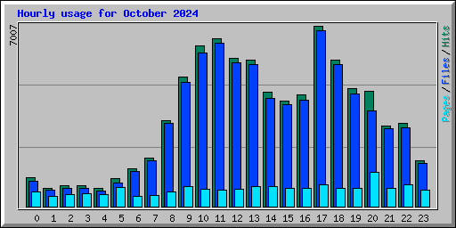 Hourly usage for October 2024