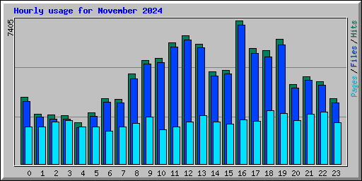 Hourly usage for November 2024