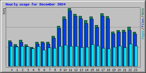 Hourly usage for December 2024