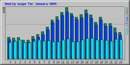 Hourly usage for January 2025