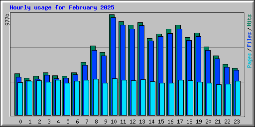 Hourly usage for February 2025